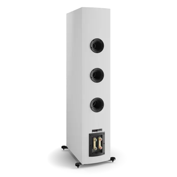 Dali Rubikore 8 Bd.webp