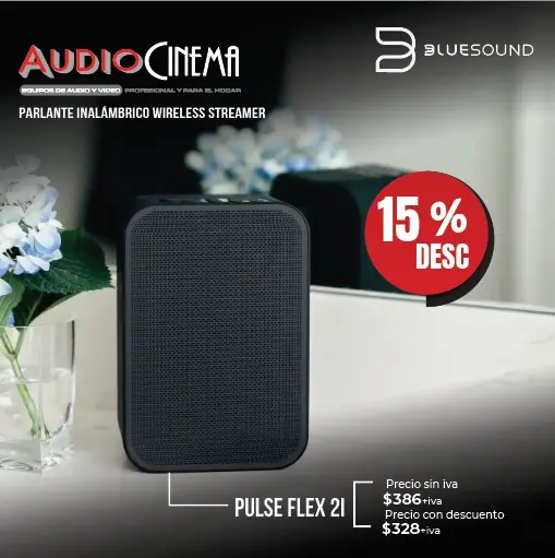 BlueSound Pulse Flex 21.webp