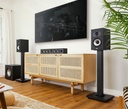 POLK MXT20