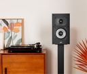 POLK MXT20