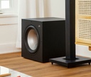 POLK MXT12